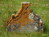 image of grave number 317747